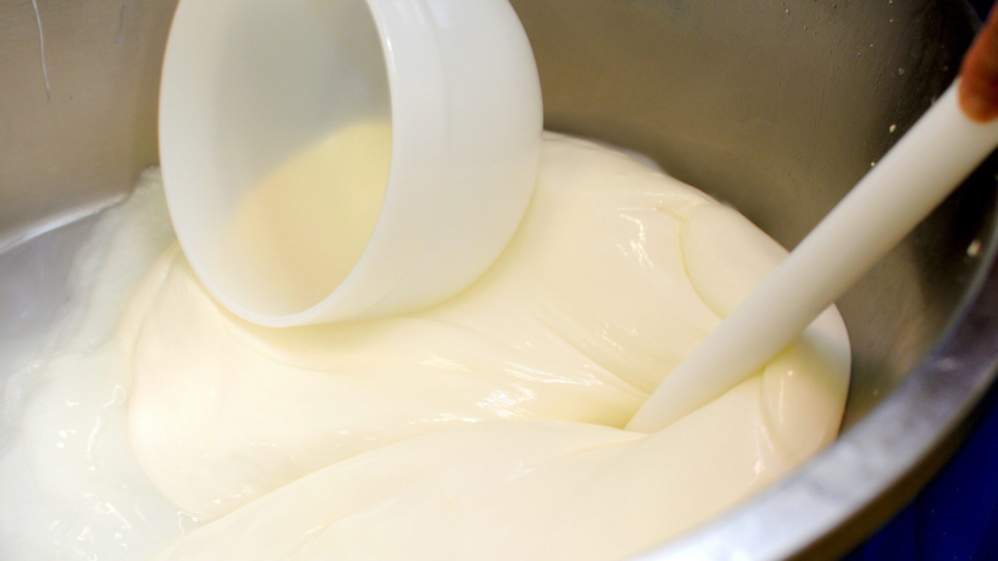 Welcher Joghurt Hat Rechtsdrehende Milchsäure www.galactopharm.de